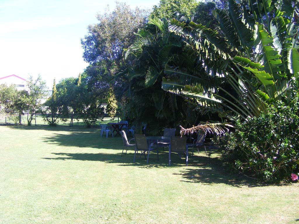Bargara Motor Inn - Pet Friendly Room photo